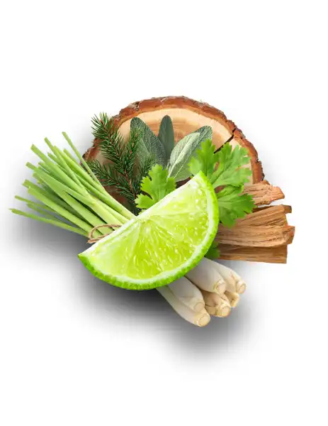 Lemongrass & Lime Clean Fragrance - Clean Fragrances